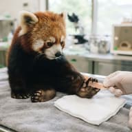 便利だけど不便な物のサムネイル